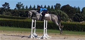 Euro Sport Diamant B